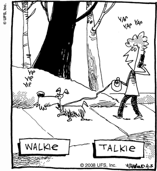reality